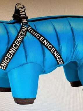 Bright Blue Puffer Dog Coat with 'NICENICENICE' Harness Detail